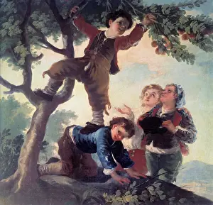 Muchachos: Muchachos cogiendo fruta (Boys picking fruit), by Goya