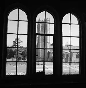Muchelney: Muchelney Abbey