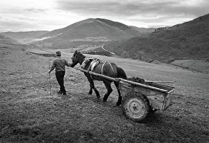 Environmentally: Muck cart, Cantabria, Spain - 1