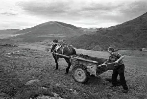 Environmentally: Muck cart, Cantabria, Spain - 2