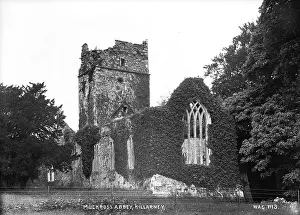 Kerry: Muckross Abbey, Killarney