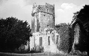 Muckross: Muckross Abbey, Killarney, Ireland