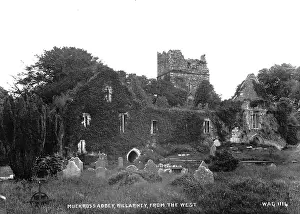 Kerry: Muckross Abbey, Killarney, from the West
