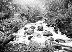 Rapids: In Muckross Demesne, Killarney