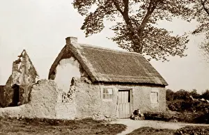 Bladon: The Mud Cabin, Bladon Park, Belfast