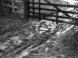 Downpour: MUD AT THE GATE