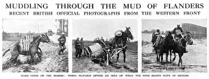 Stuck: Muddling through the mud of Flanders, 1917