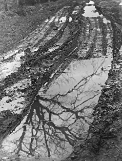 Downpour: MUDDY COUNTRY LANE