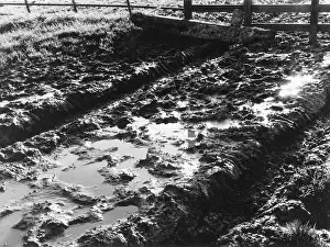 Downpour: MUDDY COUNTRY LANE
