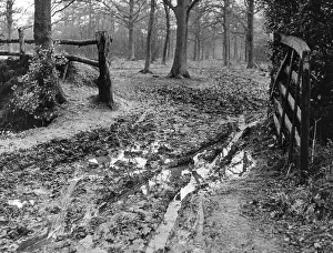 Downpour: MUDDY GATEWAY