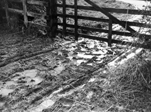 Waterlogged: MUDDY GATEWAY