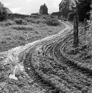 Muddy Track