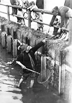 Hunts: Muehlbach in the Au in Munich, 1931