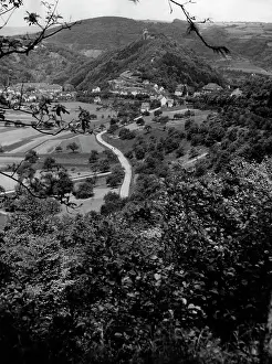 Hedge: The Muehlbach Valley in Baden, 1935