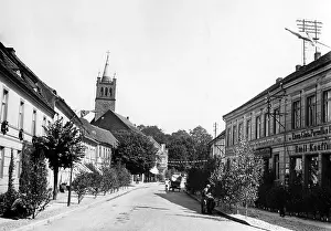 Birches: Muencheberg in Brandenburg, 1932