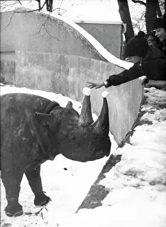 Muenchen: Muenchen Zoo