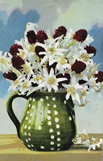 Photochromic: Mug with Edelweiss
