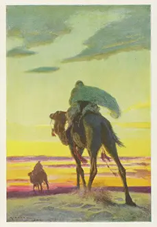 Teachings: MUHAMMAD IN FLIGHT
