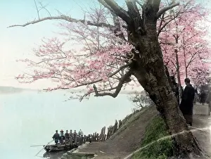 Mukojima: Mukojima, Tokyo