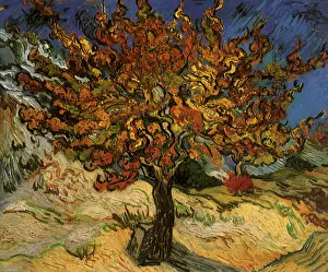 Mulberry: The Mulberry Tree, by Van Gogh