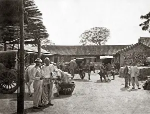 Carts: Mule carts, China, circa 1880s