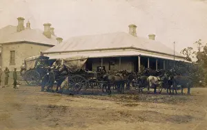 Wagons: Mule-drawn delivery carts outside post office, South Africa