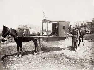 Palanquin: Mule drawn palanquin, sedan chair, carrying chair, Egypt