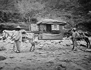 Conveyance: Mule litter, China