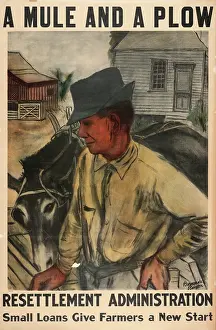 Plow: A mule and a plow - Resettlement Administration - Small loan
