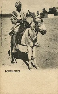 Burro: Mule Rider - Cairo, Egypt