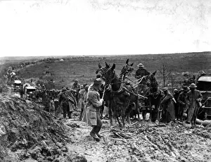 Mihiel: Mules baulking in an American ammunition wagon