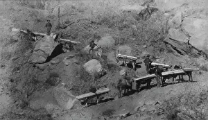 Pikes: Mules - Frontier - Pioneers - Transportation