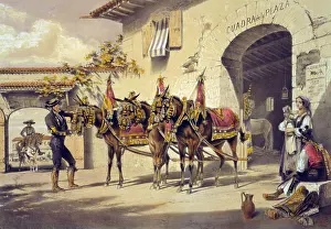 Bullfight: Mules of the Plaza de Toros