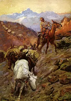 Guiding: Where Mules Wore Diamonds
