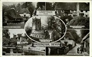Torquay: Mulitiview, Cockington, Torbay, England