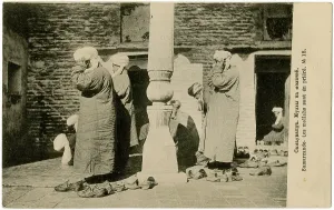 Clerics: Mullahs at prayer - Samarkand, Uzbekistan