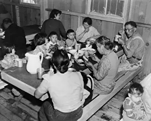 Conc: Multiple generations of Japanese Americans ?