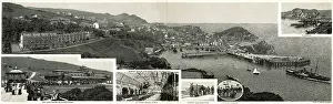 Donkeys: Multiview panoramic postcard of Ilfracombe, Devon