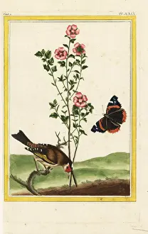Chinoiserie: Mulukhiyah or jute, Corchorus olitorius