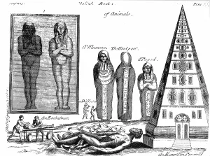 Translation: Mummies and embalming. From P Pomet A Compleat