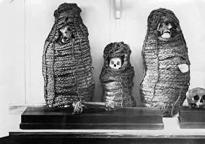 Mummies: Mummies of the old Peru