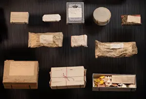 Maison: Mummies, Petit Musee, Maison de Pierre Loti, Rochefort