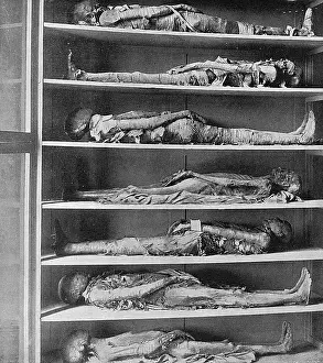 Gizeh: Mummies of priests, Gizeh Museum, Egypt