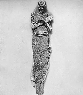 Gizeh: Mummifed remains of Ramesses II, Gizeh Museum, Egypt