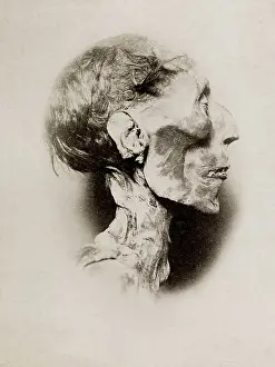 Mummified: Mummified head of King Ramses Ramesses II