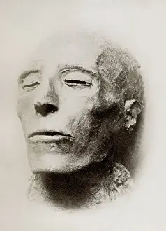 Mummified: mummified head of King Seti I, pharaoh