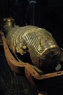Mummy: Mummy-case of Hornedjitef