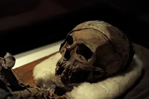 Mummy: Mummy of King Tabnit (about 500 BC)