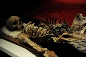 Mummy: Mummy of King Tabnit (about 500 BC)
