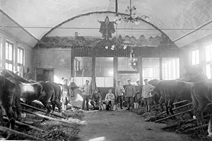 Kurgarten: Munich, 1915